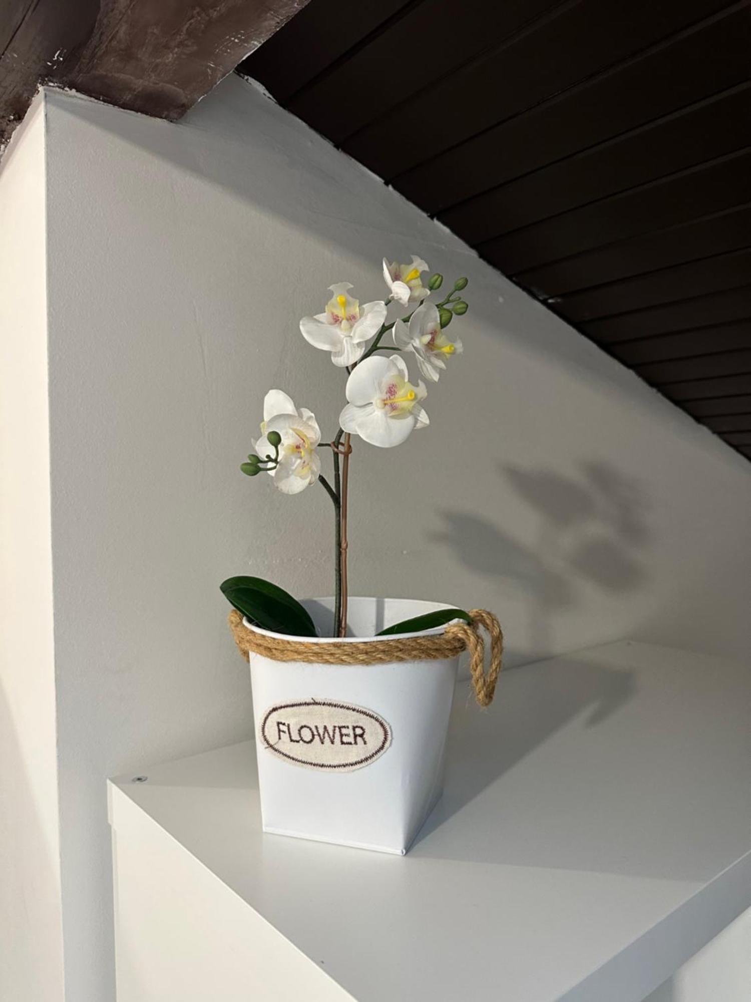 Apartmány LUXOR Česká Lípa Esterno foto